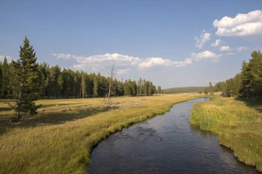 Wyoming 'deki Yellowstone Ulusal Parkı' ndaki çayır ve nehirleri gözden geçir