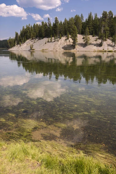 Uraian Padang Rumput Dan Sungai Taman Nasional Yellowstone Wyoming — Stok Foto