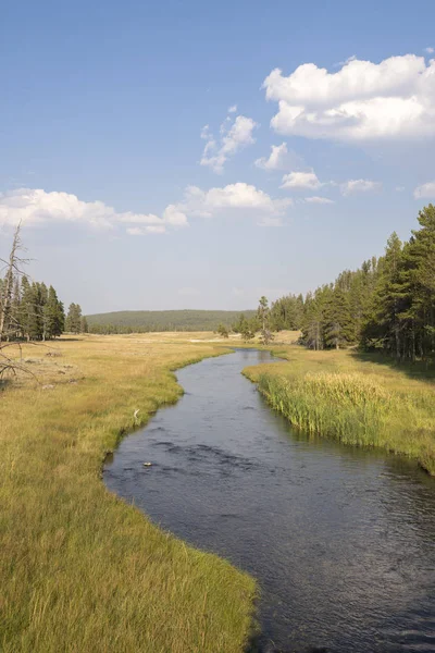 怀俄明州黄石国家公园的草原和河流概述 — 图库照片