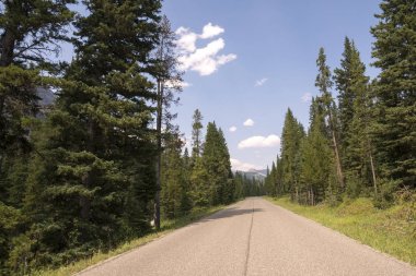 Wyoming Yellowstone Milli Parkı 'nda asfalt yol