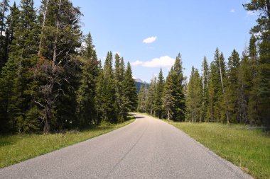 Wyoming Yellowstone Milli Parkı 'nda asfalt yol