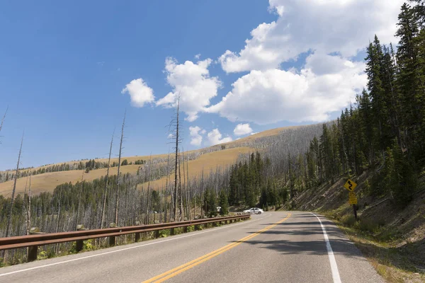 Wyoming Yellowstone Milli Parkı Nda Asfalt Yol — Stok fotoğraf