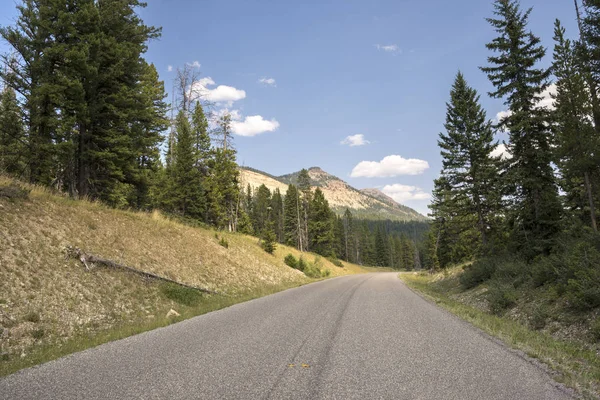 Route Asphaltée Dans Parc National Yellowstone Dans Wyoming — Photo