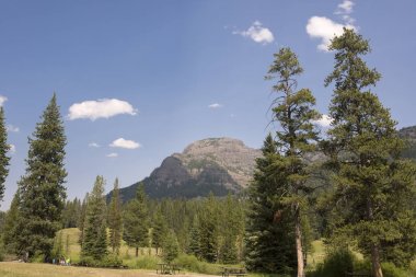 Wyoming yaz aylarında Yellowstone Milli Parkı Lamar Vadisi'nde doğa manzara