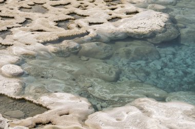 Wyoming Yellowstone Milli Parkı'nda eski sadık havzasında Gayzer ve kaplıca