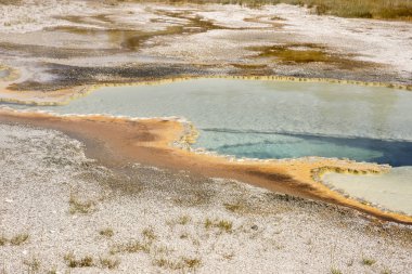 Wyoming Yellowstone Milli Parkı'nda eski sadık havzasında Gayzer ve kaplıca