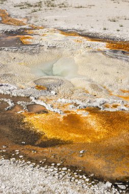 Wyoming Yellowstone Milli Parkı'nda eski sadık havzasında Gayzer ve kaplıca