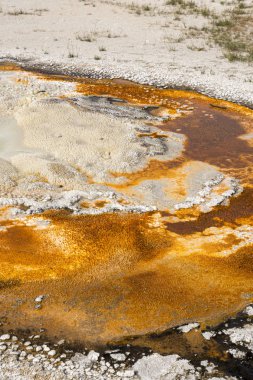 Wyoming Yellowstone Milli Parkı'nda eski sadık havzasında Gayzer ve kaplıca