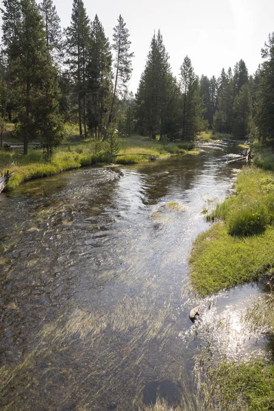 盖瑟和温泉在老忠实的盆地在黄石国家公园在怀俄明州 — 图库照片