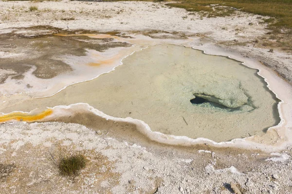 Geysir Und Heiße Quelle Alten Treuen Becken Des Yellowstone Nationalparks — Stockfoto