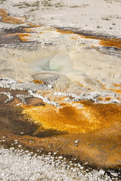 Geyser Sorgenti Termali Nell Antico Bacino Dei Fedeli Nel Parco — Foto Stock