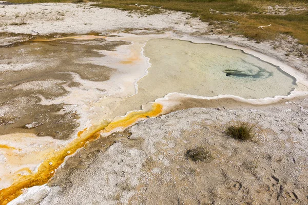 Geysir Und Heiße Quelle Alten Treuen Becken Des Yellowstone Nationalparks — Stockfoto