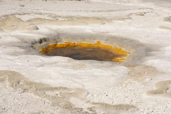 Geyser Sorgenti Termali Nell Antico Bacino Dei Fedeli Nel Parco — Foto Stock