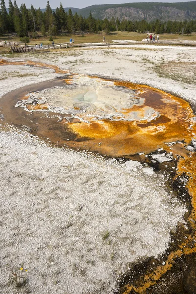 Geiser Aguas Termales Antigua Cuenca Fiel Parque Nacional Yellowstone Wyoming — Foto de Stock