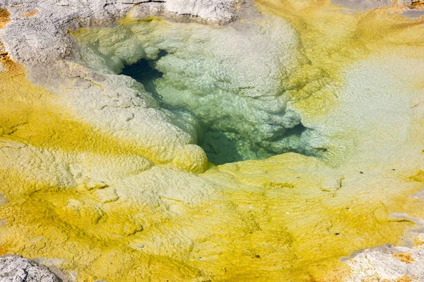 Gejser Varm Kilde Gamle Trofaste Bassin Yellowstone National Park Wyoming - Stock-foto