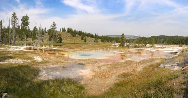 Geyser Sorgenti Termali Nell Antico Bacino Dei Fedeli Nel Parco — Foto Stock