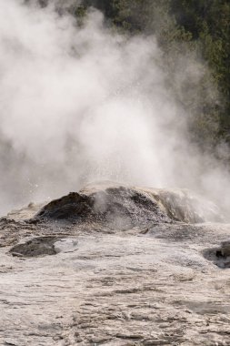 Wyoming Yellowstone Milli Parkı'nda eski sadık havzasında Gayzer ve kaplıca
