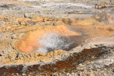 Wyoming Yellowstone Milli Parkı'nda eski sadık havzasında Gayzer ve kaplıca