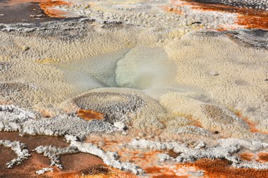 Wyoming Yellowstone Milli Parkı'nda eski sadık havzasında Gayzer ve kaplıca