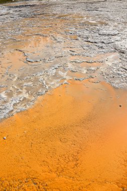 Wyoming Yellowstone Milli Parkı'nda eski sadık havzasında Gayzer ve kaplıca