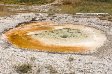Wyoming Yellowstone Milli Parkı'nda eski sadık havzasında Gayzer ve kaplıca