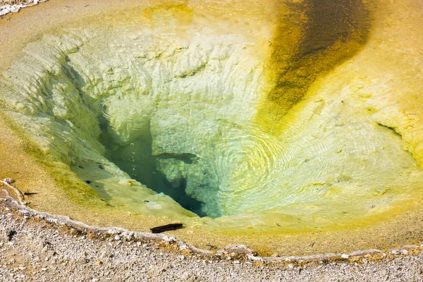 Gejzér Meleg Tavasz Régi Hűséges Medencében Yellowstone Nemzeti Parkban Wyoming — Stock Fotó