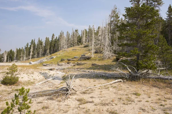 Geiser Aguas Termales Antigua Cuenca Fiel Parque Nacional Yellowstone Wyoming — Foto de Stock