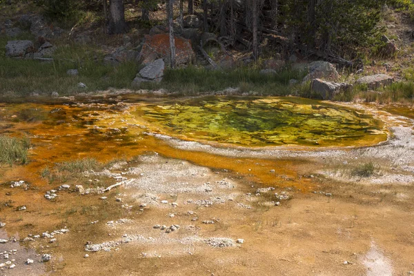 Geiser Aguas Termales Antigua Cuenca Fiel Parque Nacional Yellowstone Wyoming — Foto de Stock