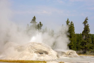 Wyoming Yellowstone Milli Parkı'nda eski sadık havzasında Gayzer ve kaplıca