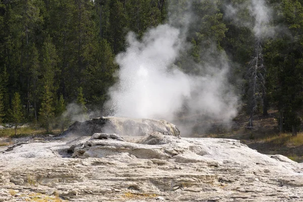Gejzer Gorące Źródło Starej Wiernej Zlewni Parku Narodowym Yellowstone Wyoming — Zdjęcie stockowe