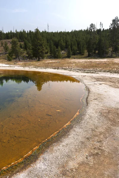 Geiser Aguas Termales Antigua Cuenca Fiel Parque Nacional Yellowstone Wyoming — Foto de Stock