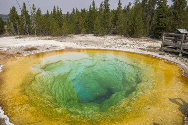 Wyoming Yellowstone Milli Parkı'nda eski sadık havzasında Gayzer ve kaplıca