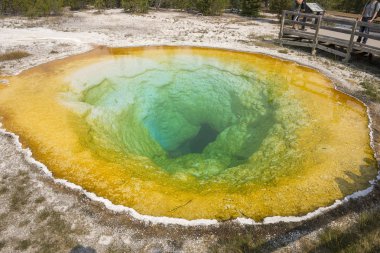 Wyoming Yellowstone Milli Parkı'nda eski sadık havzasında Gayzer ve kaplıca
