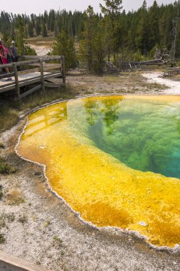 Wyoming Yellowstone Milli Parkı'nda eski sadık havzasında Gayzer ve kaplıca