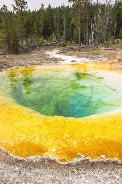 Wyoming Yellowstone Milli Parkı'nda eski sadık havzasında Gayzer ve kaplıca