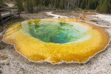 Wyoming Yellowstone Milli Parkı'nda eski sadık havzasında Gayzer ve kaplıca