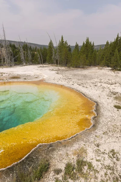 Geiser Aguas Termales Antigua Cuenca Fiel Parque Nacional Yellowstone Wyoming — Foto de Stock