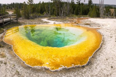 Wyoming Yellowstone Milli Parkı'nda eski sadık havzasında Gayzer ve kaplıca