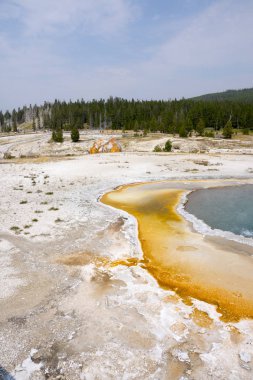 Wyoming Yellowstone Milli Parkı'nda eski sadık havzasında Gayzer ve kaplıca