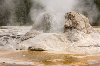 Wyoming Yellowstone Milli Parkı'nda eski sadık havzasında Gayzer ve kaplıca