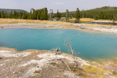 Wyoming Yellowstone Milli Parkı'nda eski sadık havzasında Gayzer ve kaplıca