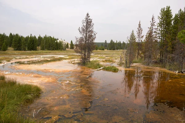 Geiser Aguas Termales Antigua Cuenca Fiel Parque Nacional Yellowstone Wyoming — Foto de Stock