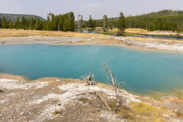 Geiser Aguas Termales Antigua Cuenca Fiel Parque Nacional Yellowstone Wyoming — Foto de Stock