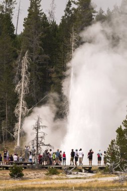 Wyoming Yellowstone Milli Parkı'nda eski sadık havzasında Gayzer ve kaplıca