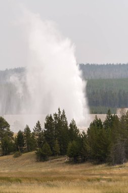 Wyoming Yellowstone Milli Parkı'nda eski sadık havzasında Gayzer ve kaplıca
