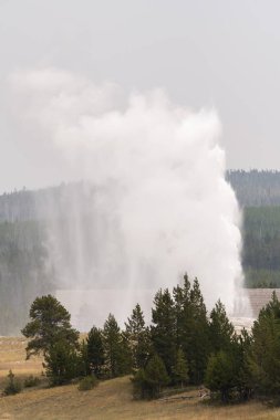 Wyoming Yellowstone Milli Parkı'nda eski sadık havzasında Gayzer ve kaplıca