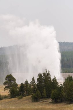 Wyoming Yellowstone Milli Parkı'nda eski sadık havzasında Gayzer ve kaplıca