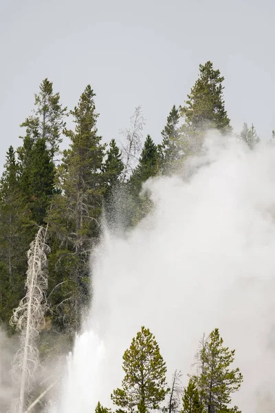 Geyser Och Varma Våren Gamla Trogna Bassängen Yellowstone National Park — Stockfoto