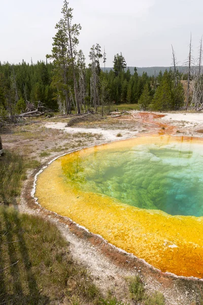 Geiser Aguas Termales Antigua Cuenca Fiel Parque Nacional Yellowstone Wyoming — Foto de Stock