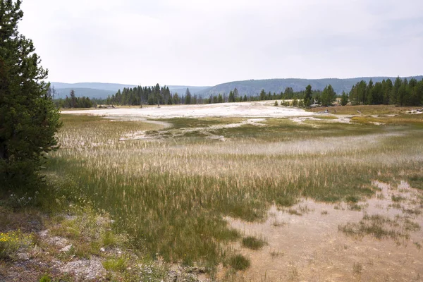 Geyser Och Varma Våren Gamla Trogna Bassängen Yellowstone National Park — Stockfoto